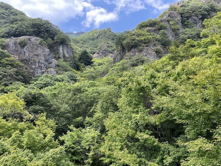 纜車外風景