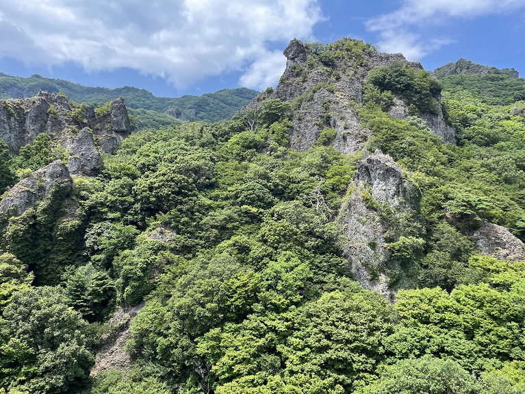 纜車外風景